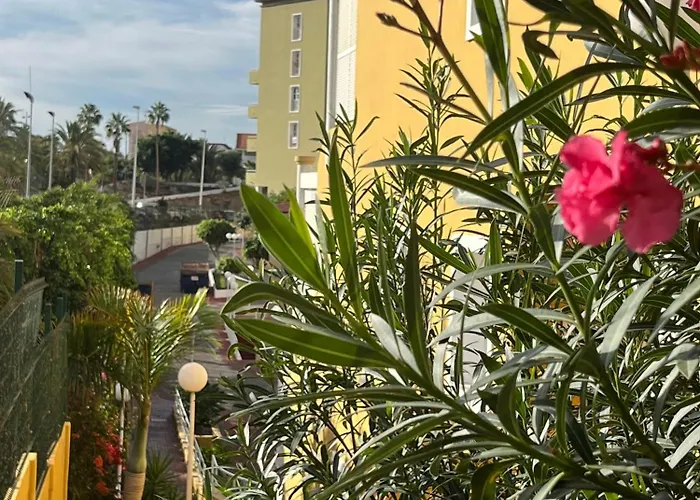 Sunset Star Orlando - Your Away From * Costa Adeje (Tenerife)