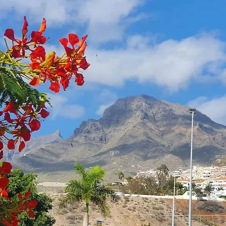 Sunset Star Orlando - Your Away From * أذيخي