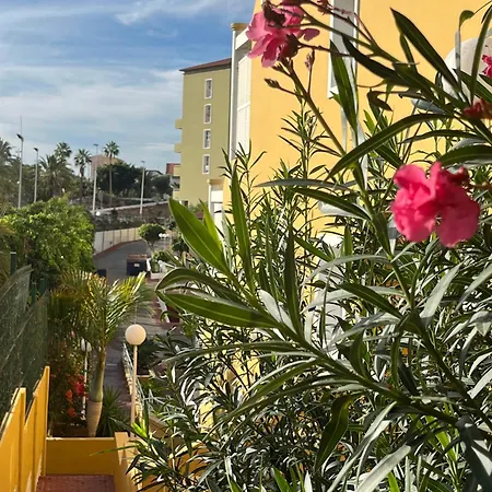 Sunset Star Orlando - Your Away From * Адехе